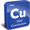 BSW Curriculum Instrument