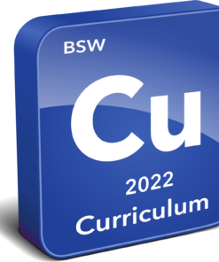 BSW Curriculum Instrument