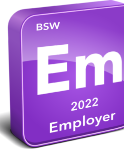 BSW Employer Instrument