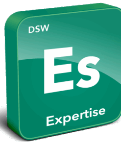 DSW Core Expertise And Skills