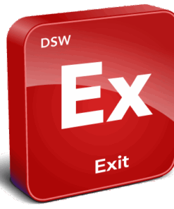 DSW Exit Survey